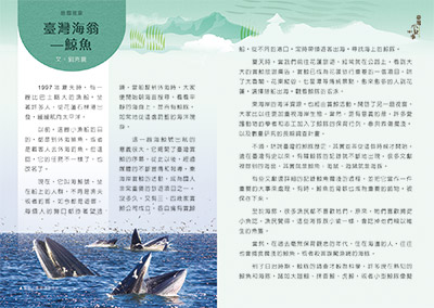 臺灣海翁—鯨魚 第一頁